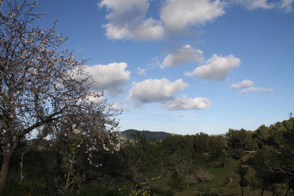 La Pitiusa Agroturismo Sant Miquel De Balansat Bagian luar foto